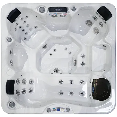 Avalon EC-849L hot tubs for sale in Cleveland