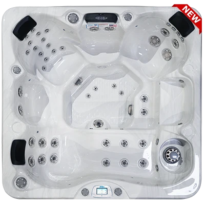 Avalon-X EC-849LX hot tubs for sale in Cleveland